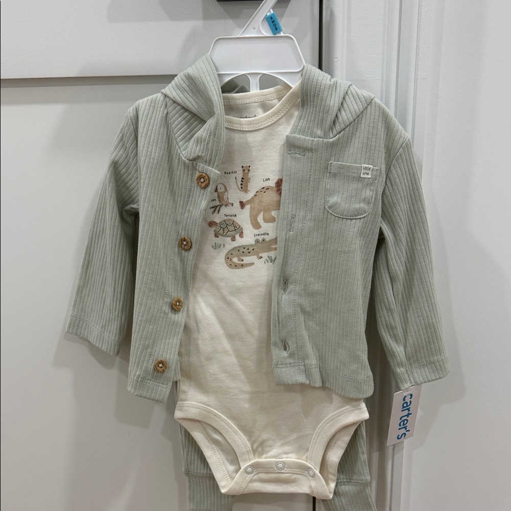 Carter's Ribbed Jacket and Onesie Set in Sage and Cream
